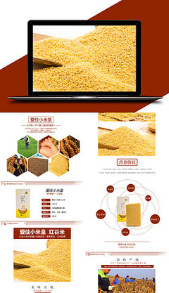 拍拍網糧食詳情頁設計