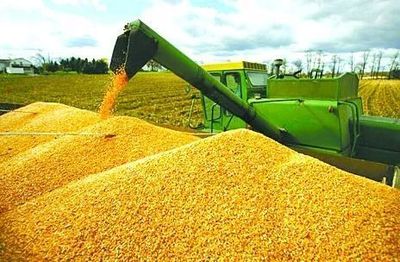 糧食安全底線 | 全面提升農產品供給質量需做好三件事