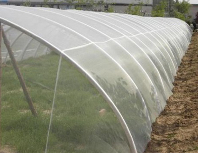 蔬菜大棚防蟲網批發廠家圖片|蔬菜大棚防蟲網批發廠家產品圖片由河北天濤絲網銷售服務部公司生產提供-