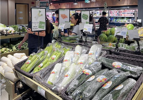 寧夏冷涼蔬菜乘 飛的 去迪拜
