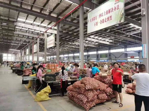 天貓 雙十一 ,陜西賣出了15.8億,特農產品成 香餑餑