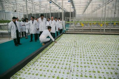 廣東省副省長鄧海光調(diào)研春沐源_社會_網(wǎng)