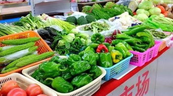 城事丨阿左旗12月中旬蔬菜價(jià)格上漲其他主要食品價(jià)格有升有降