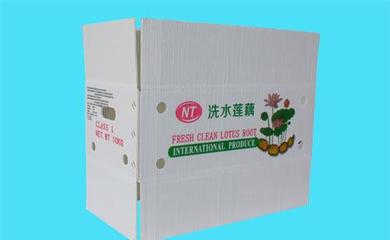 蓮藕蔬菜箱|飛燕塑膠制品(圖)|保鮮蔬菜箱
