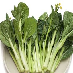 99號(hào)蔬菜加盟費(fèi)多少錢(qián) 費(fèi)用 賺錢(qián)嗎 開(kāi)店多少錢(qián)