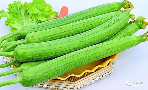 16種蔬菜輪作種植技術