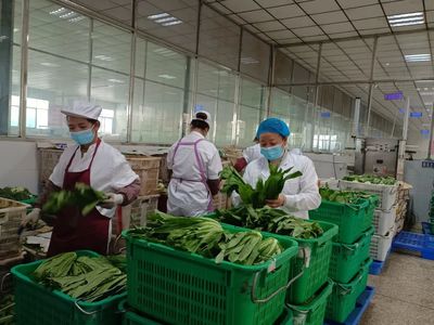 桐梓:多重守護 保障學生“舌尖上”的安全