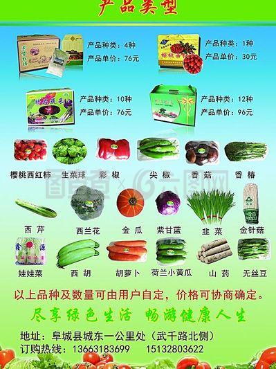 蔬菜產品類型圖片