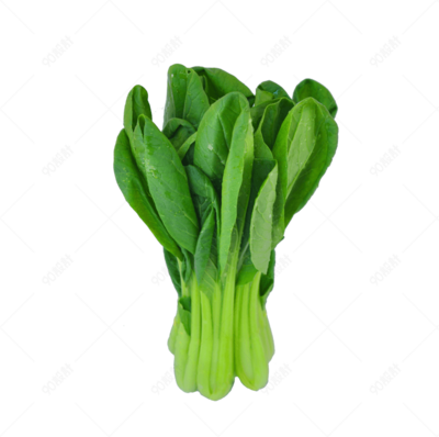 上海青蔬菜實物攝影拍攝