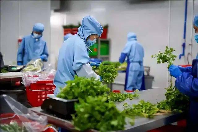 中國預制菜產業聯盟成立如何激活萬億市場