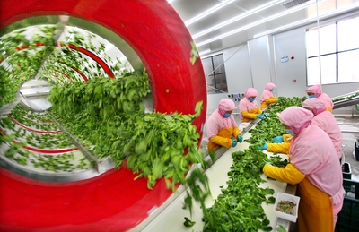 兌現出口訂單 保障市場供應