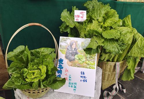 實名制 果蔬進城 創新之舉,點亮鄉村振興路