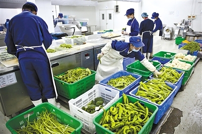 新京報 - 好新聞,無止境