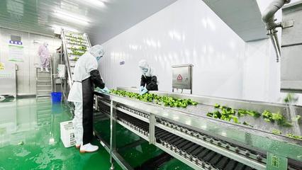 中國·山丹-精深加工讓山丹傳統果蔬“出彩出圈”