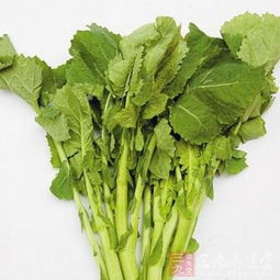甲溝炎飲食保健 簡單食材幫你解決甲溝炎