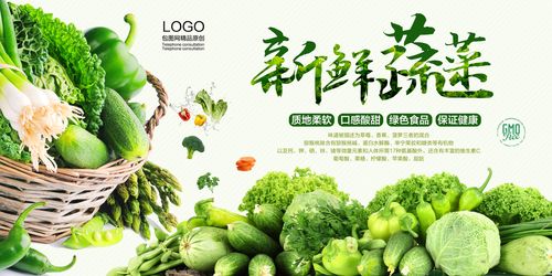 新鮮蔬菜新鮮蔬菜宣傳海報 創意海報 下載至來源處