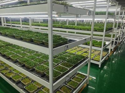 吉林雄飛科技:匯聚科技力量 創新賦能高質量發展