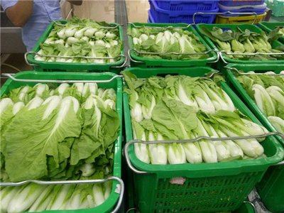 大嶺山飯堂承包餐配送公司 工廠食堂承包公司 提供經濟實惠營養健康餐飲服務
