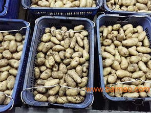 廣東知名的蔬菜配送公司是哪家 虎門蔬菜配送公司,廣東知名的蔬菜配送公司是哪家 虎門蔬菜配送公司生產廠家,廣東知名的蔬菜配送公司是哪家 虎門蔬菜配送公司價格