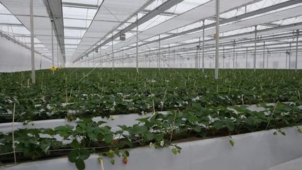 區委書記郝憲慶率隊赴滬、魯洽談簽約