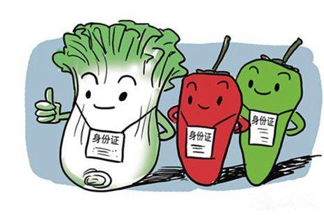 全面推進農產品質量安全市場準入時機已到