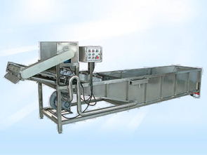 蔬菜清洗機 諸城市潤福機械廠