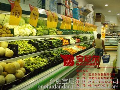 品牌蔬菜柜,蔬菜柜價格,廠家低價銷售圖片_高清圖_細節圖-合肥寶尼爾電器 -