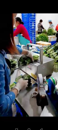 誰又能想到,工廠引進這臺智能設備后銷量會翻番
