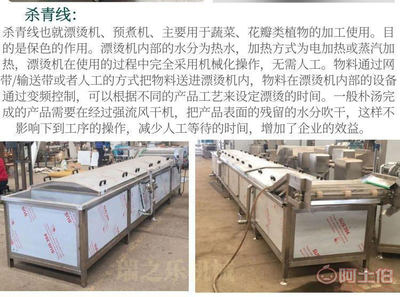 【醬鹽咸菜加工全套設備 蘿卜絲壓榨機廠家】 - 產品庫