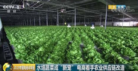 618背后:90后不要防脫洗發(fā)水改買假發(fā) 00后則抗衰老