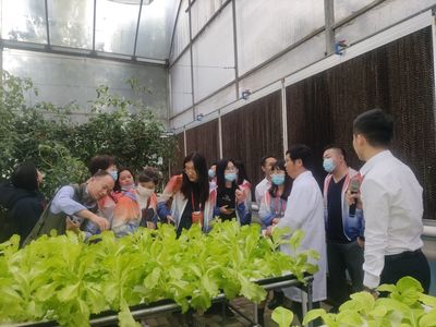 【“贛”勁十足 昌南爭(zhēng)先】百花齊放春滿園--江西高速服務(wù)區(qū)因地制宜華麗“蝶變”