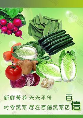 蔬菜海報(bào)圖片