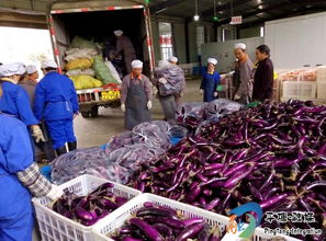 平塘打造 鄉廠校店 校農結合 升級版助推脫貧攻堅如期精彩出列