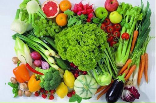 蔬菜運輸公司保障食堂蔬菜新鮮又安全