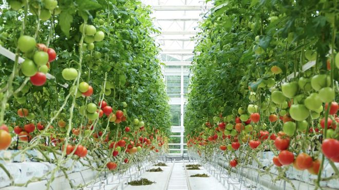 10家!浙江首批“未來農場”名單公布,有你去過的嗎?