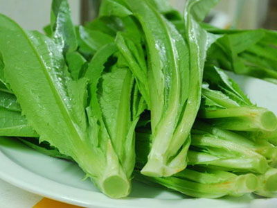 蔬菜制品商家 企訊網蔬菜制品商家