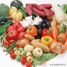 首都農產品安全產業技術研究院 農安云 正式上線運營